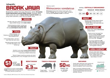 Infografis-Badak-Jawa-1787px